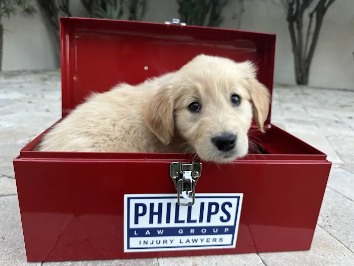 Phillips Law Group - Injury Lawyers Picture 1
