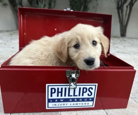Phillips Law Group - Injury Lawyers