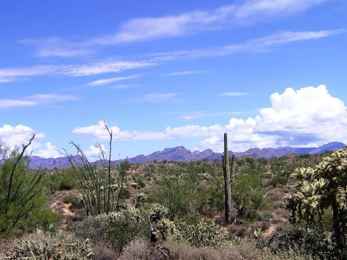 Knapp & Roberts - Phoenix Picture 3