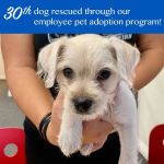 RecordGone - Expungement Law Firm