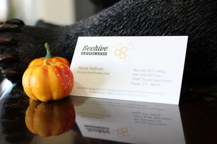 Beehive Advocates Picture 8
