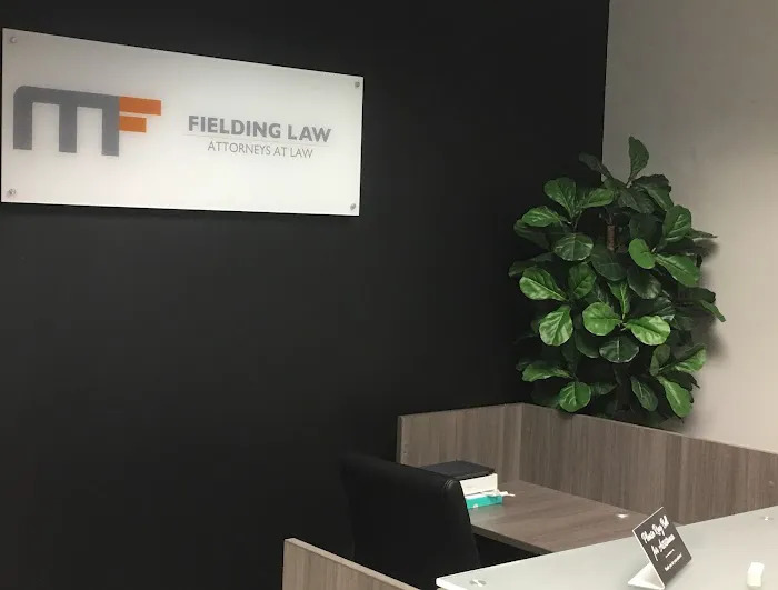 Fielding Law Picture 7