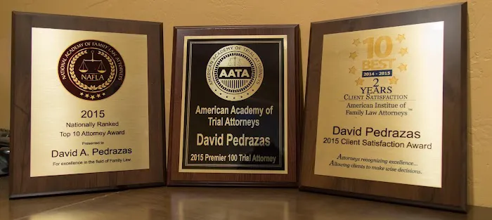 Law Office of David Pedrazas, PLLC Picture 9