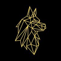 Deesing Law ico