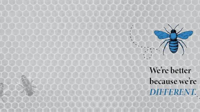 Blue Bee Bankruptcy Law Picture 3