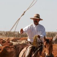 Matthew A. Bartlett, P.C. ico