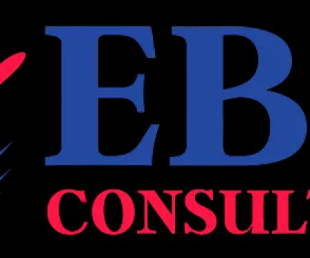 EB-3 Consultants
