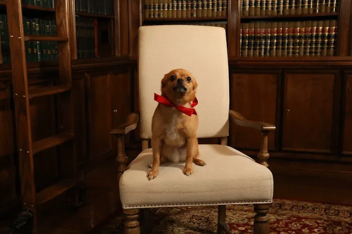 Laurie Y. Young, Attorney at Law Picture 9