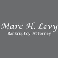 Marc H Levy Bankruptcy Attorney ico