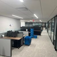 The Lanier Law Firm, PLLC ico