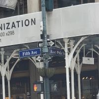 Gotham Government Relations ico