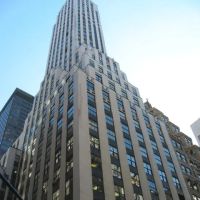Law Office of Solomon Steiman ico