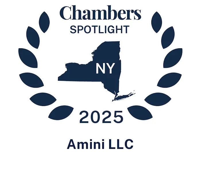 Amini LLC Picture 2
