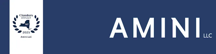 Amini LLC Picture 1
