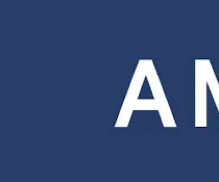 Amini LLC