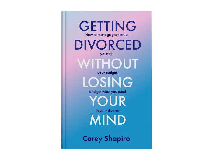 Corey M. Shapiro, Esq. Picture 3