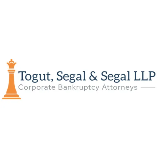 Togut, Segal & Segal LLP Picture 1