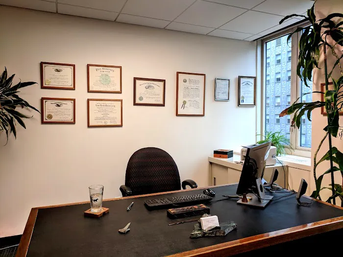 Karen A. Friedman New York Traffic Lawyer Picture 3