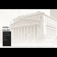 Moss & Kalish Pllc ico