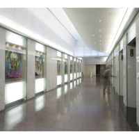 Law Offices of Mindin & Mindin, P.C. ico