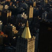 Andrew J. Rossman ico