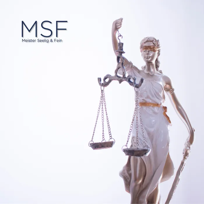 Meister Seelig & Fein PLLC Picture 3