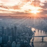 Steketee Law Firm ico