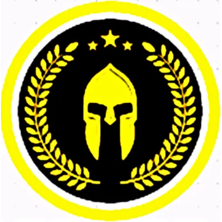 STIMCONSUL LTD. Picture 2