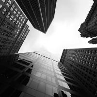 Thomas Law Firm PLLC ico