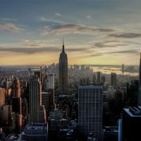 The Stein Law Group ico