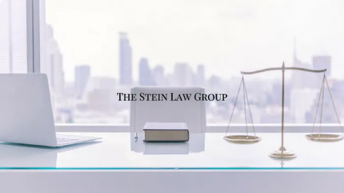 The Stein Law Group Picture 2