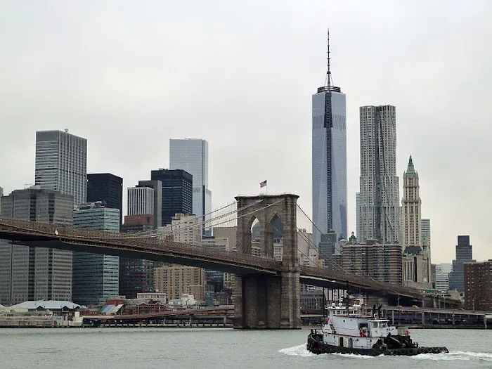 Silberstein & Miklos, P.C. | Brooklyn Medical Malpractice Injury Attorneys Picture 8