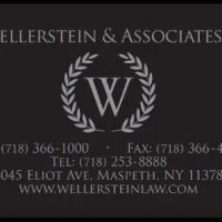 Wellerstein & Associates ico