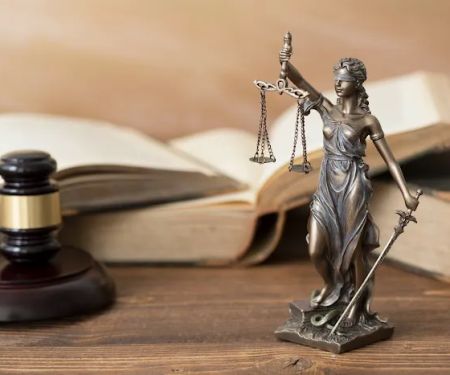 The Stein Law Group