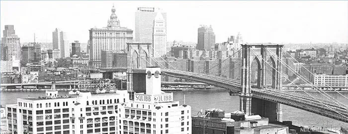 Rothberg, Straus & Contrubis, LLP Picture 1