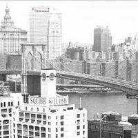 Rothberg, Straus & Contrubis, LLP ico