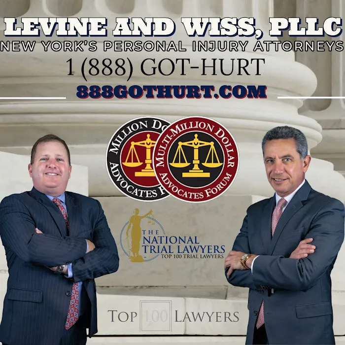 Levine And Wiss, PLLC Picture 6