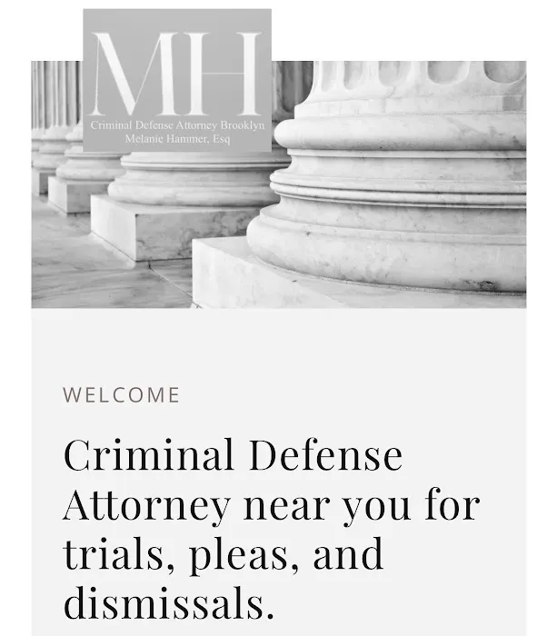 Criminal Defense Brooklyn Picture 4