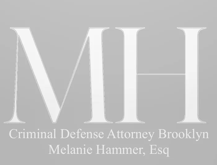 Criminal Defense Brooklyn Picture 2