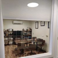 Law Offices of Irina A. Olevsky, PC ico