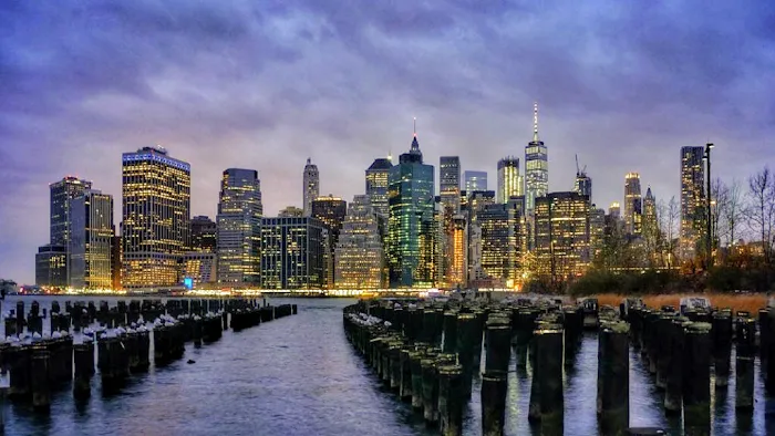 Morgan Legal Group I Estate Planning & Probate Attorney New York City Picture 1