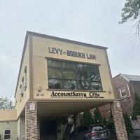 LEVY & BORUKH, PLLC ico