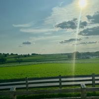 Social Security Disability Lawyers Queens NY | Disability Lawyers Queens NY ico