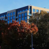 Kand Real Estate Law Forest Hills ico
