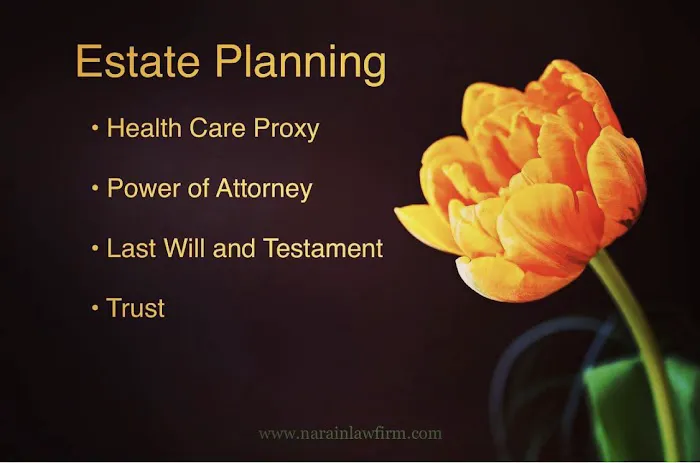 Narain Law Firm PC Picture 4