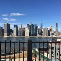 The Stein Law Firm ico