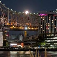 36 Sutton South Corporation ico