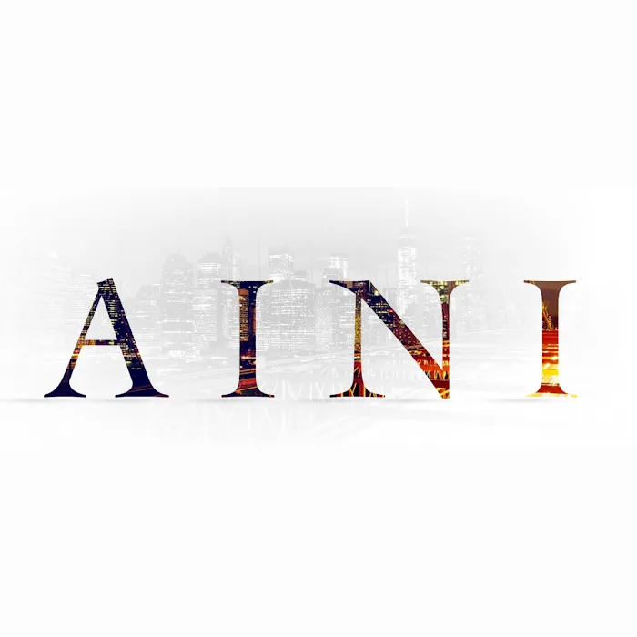 Aini & Associates PLLC Picture 4