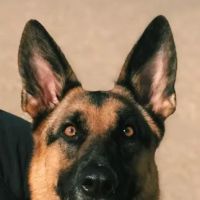 George Bassias Attorney LLC ico