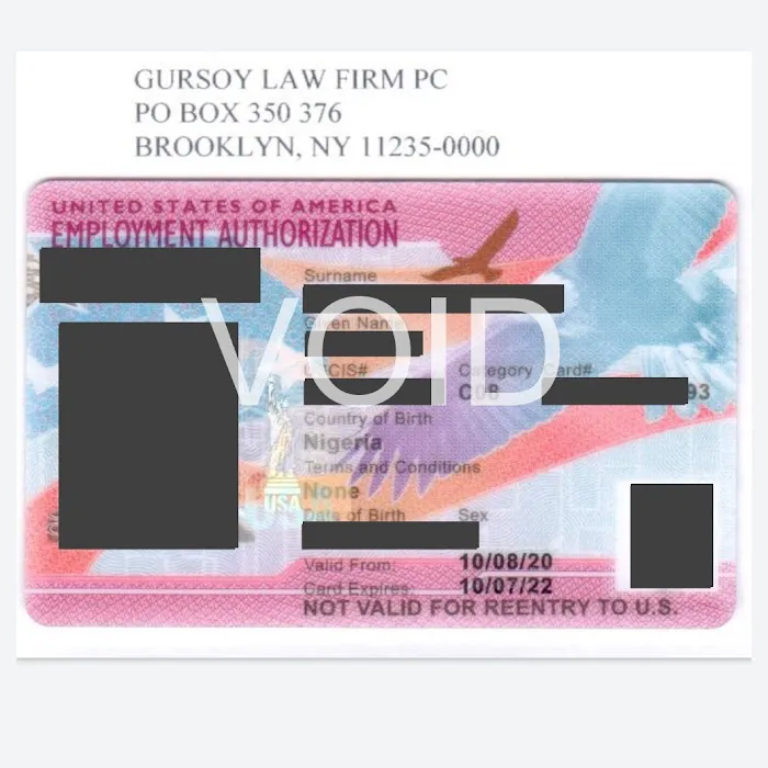 Gursoy Immigration Lawyer Picture 1